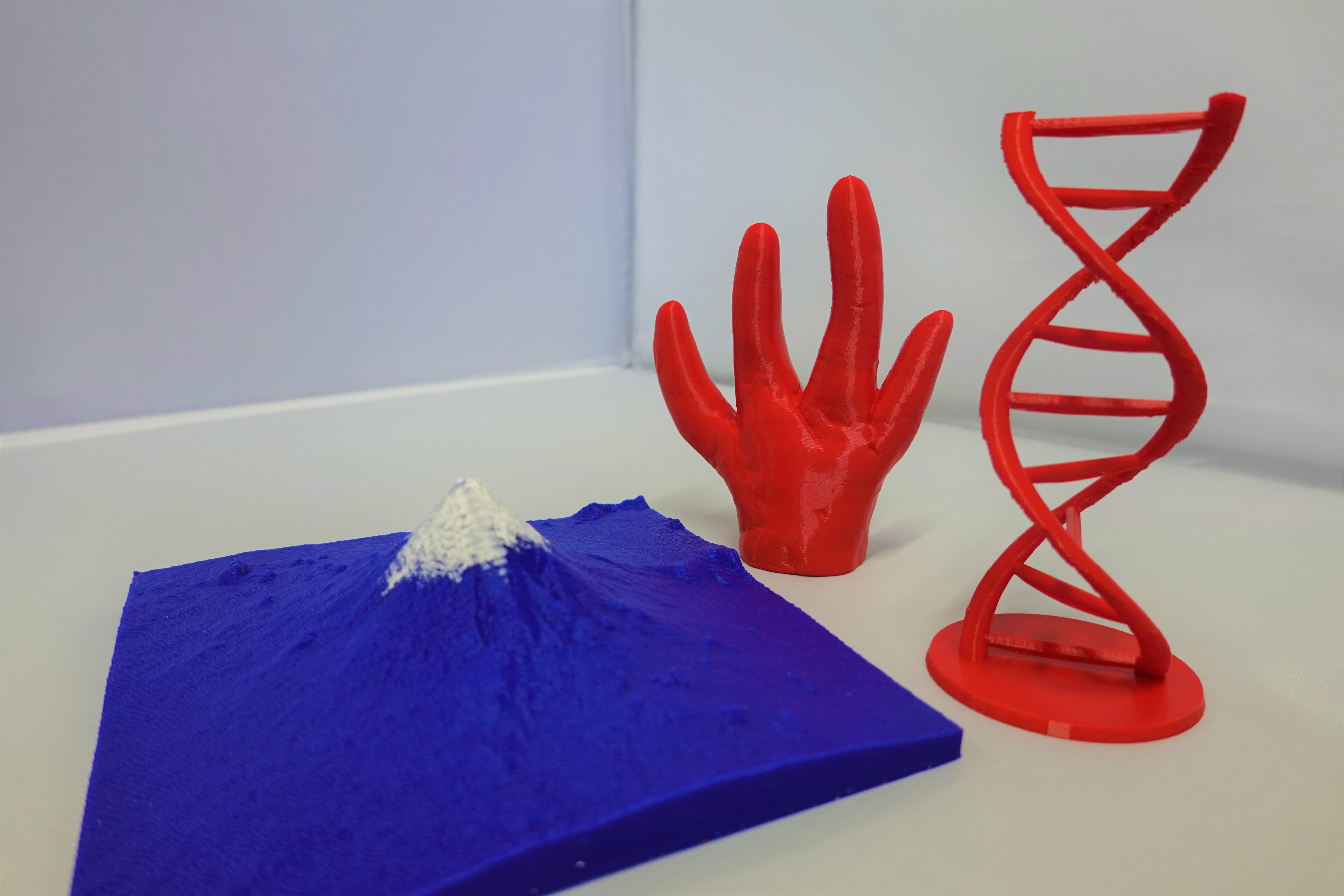 写真: 希望者に事前送付しシンポジウムで取り上げた富士山、DNAの二重らせん、カエンタケの3Dモデル
